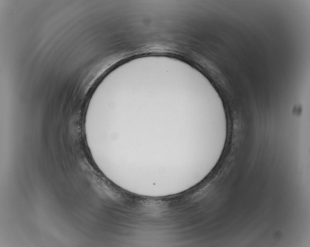 X0000112541170200909141305