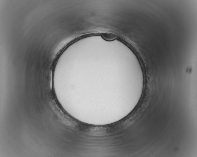 X0000112541171200909141305