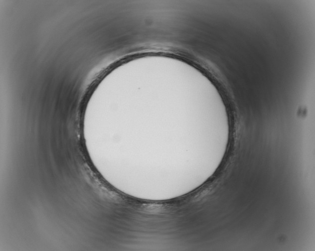 X0000112541172200909141305