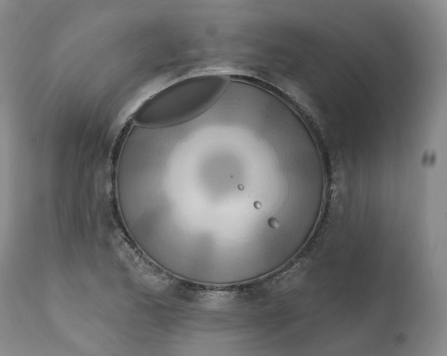 X0000112541173200909141305