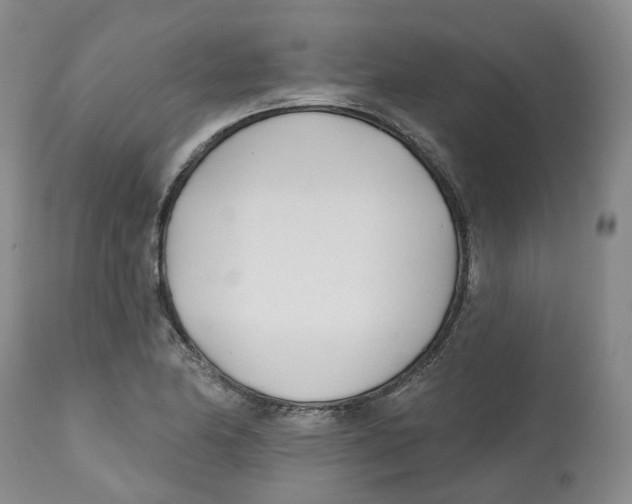 X0000112541174200909141305
