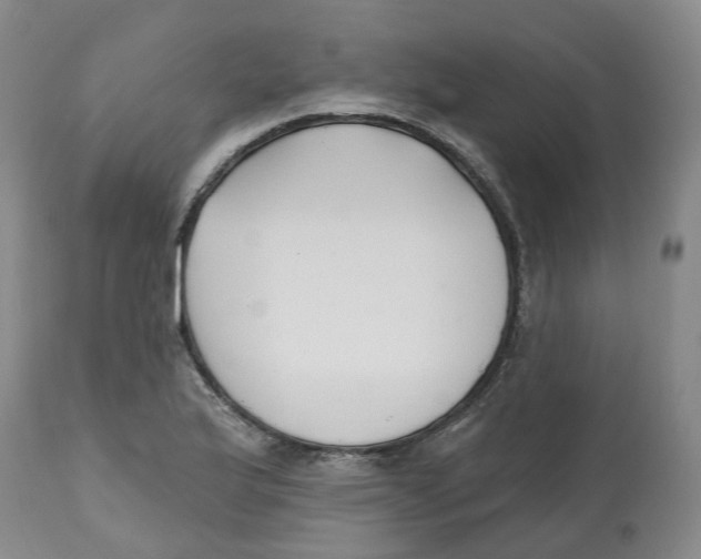 X0000112541175200909141305