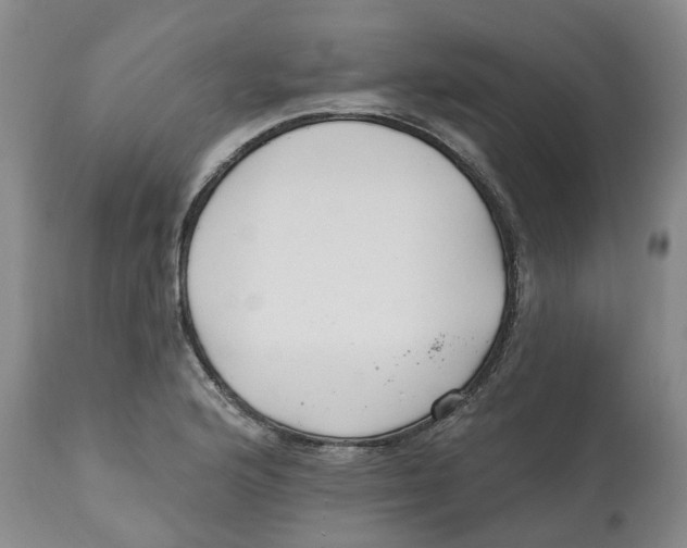 X0000112541176200909141305