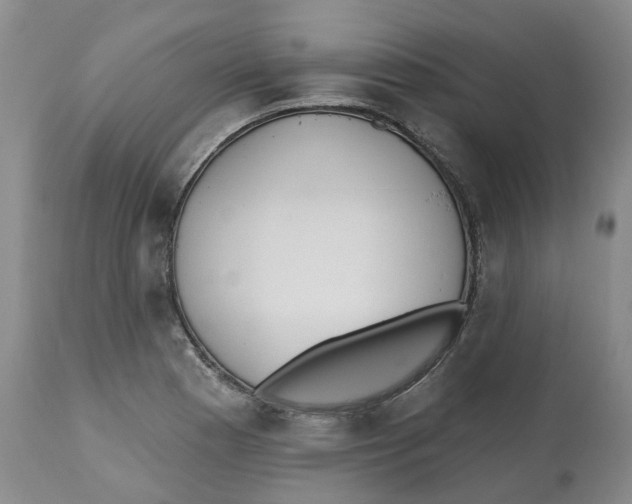 X0000112541177200909141305