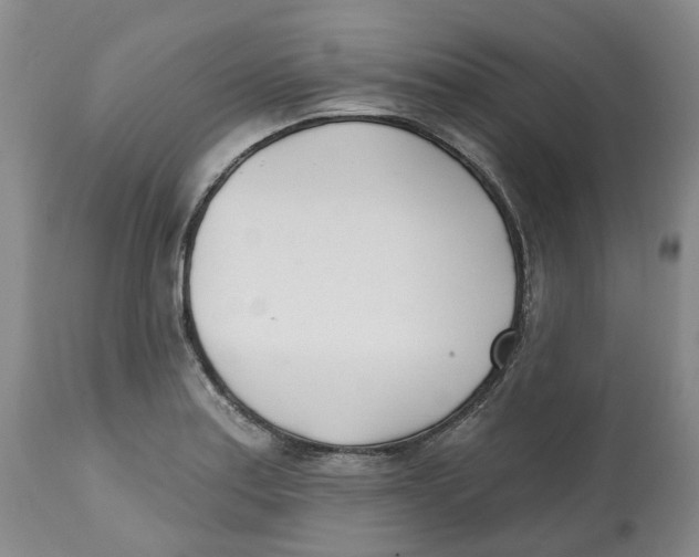 X0000112541179200909141305