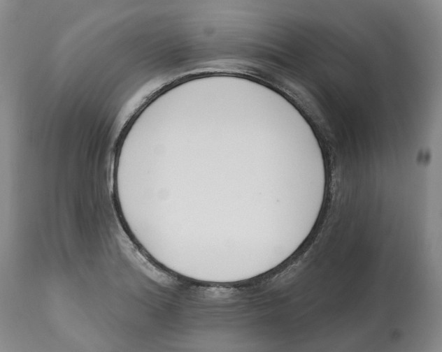 X0000112541180200909141305