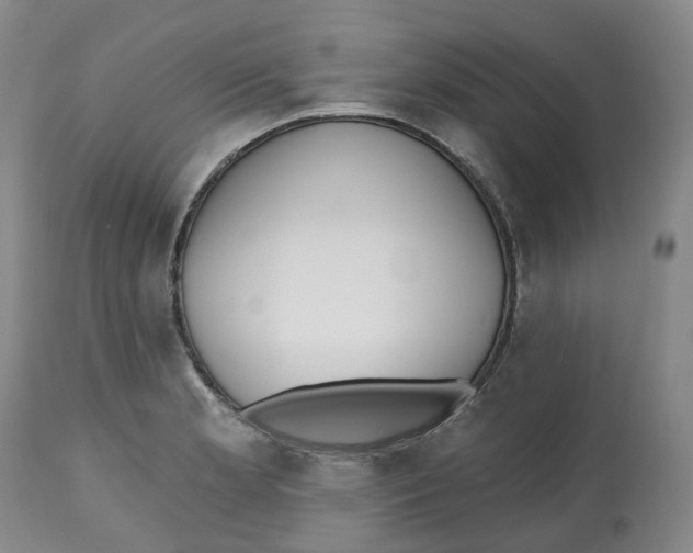 X0000112541181200909141305