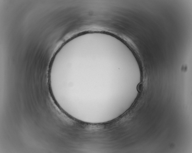 X0000112541183200909141305