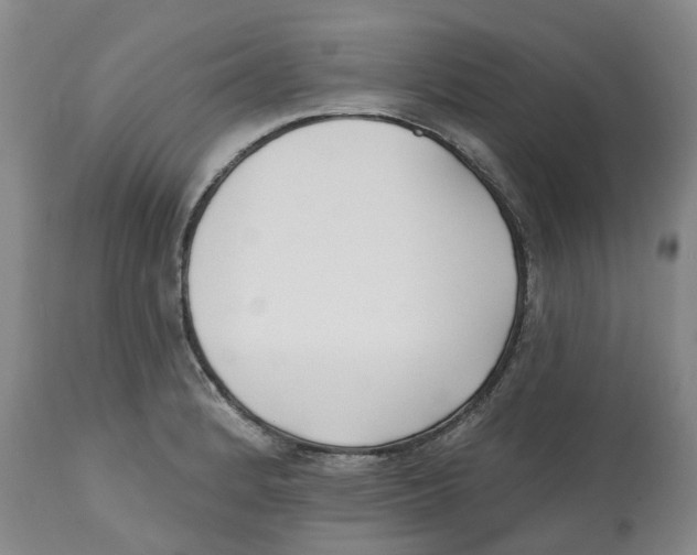 X0000112541184200909141305