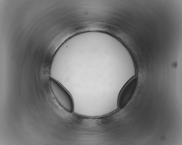 X0000112541185200909141305