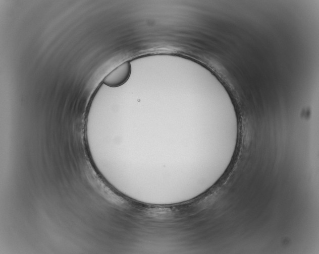 X0000112541186200909141305