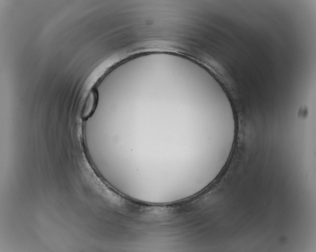 X0000112541188200909141305