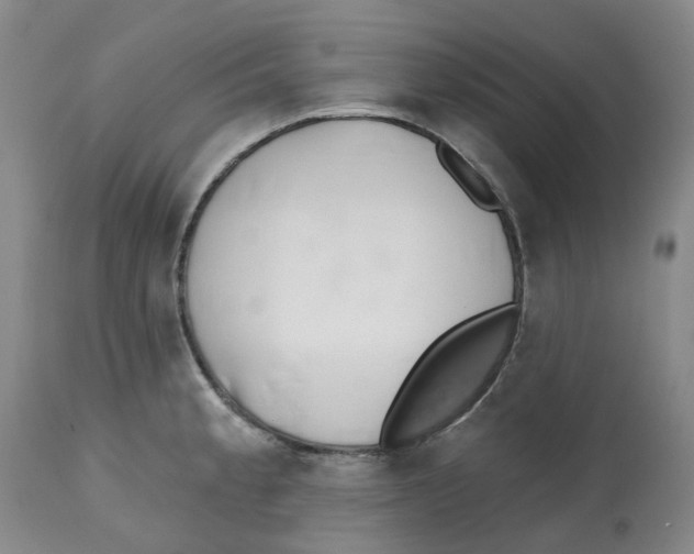 X0000112541189200909141305
