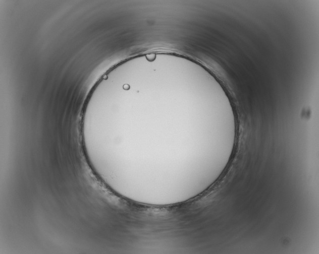 X0000112541190200909141305