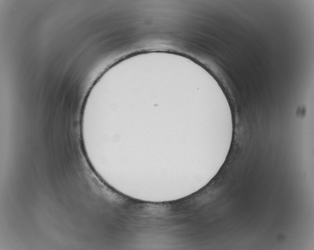 X0000112541191200909141305