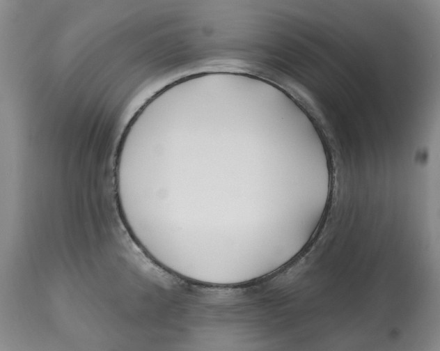 X0000112541192200909141305