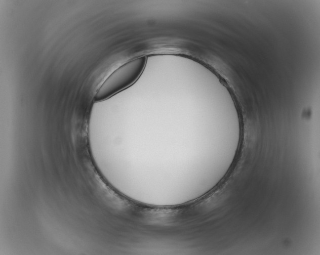 X0000112541193200909141305