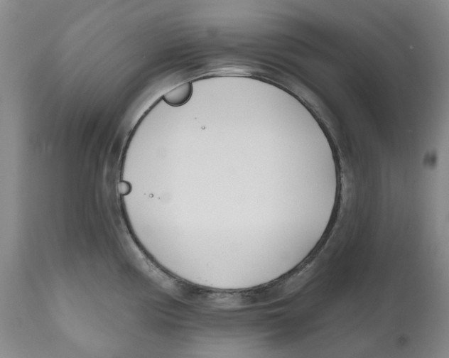 X0000112541194200909141305