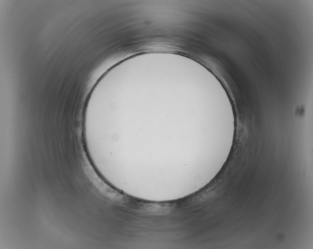 X0000112541195200909141305