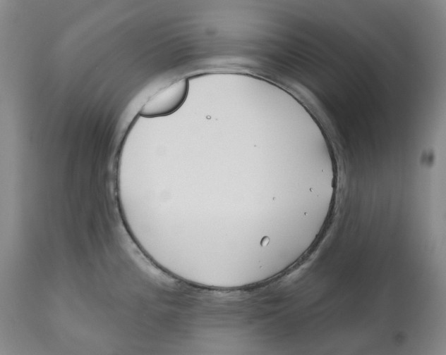 X0000112541196200909141305