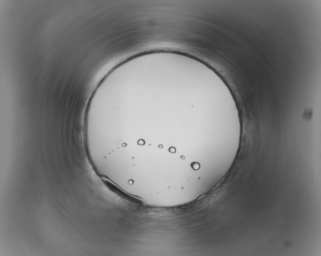 X0000112541199200909141305