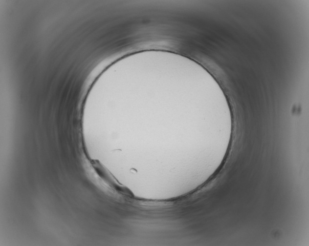 X0000112541200200909141305