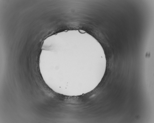 X0000112541201200909141304