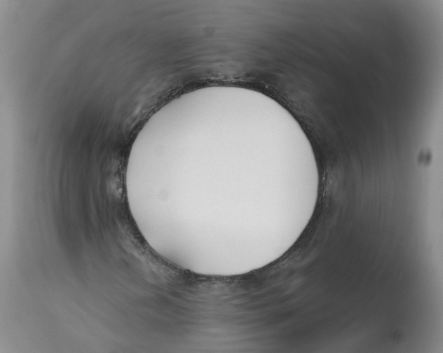 X0000112541202200909141304