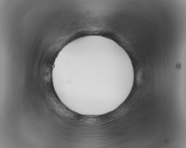 X0000112541204200909141304