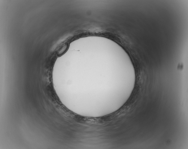 X0000112541205200909141304