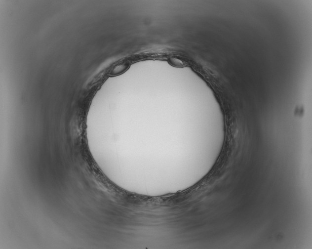 X0000112541206200909141304