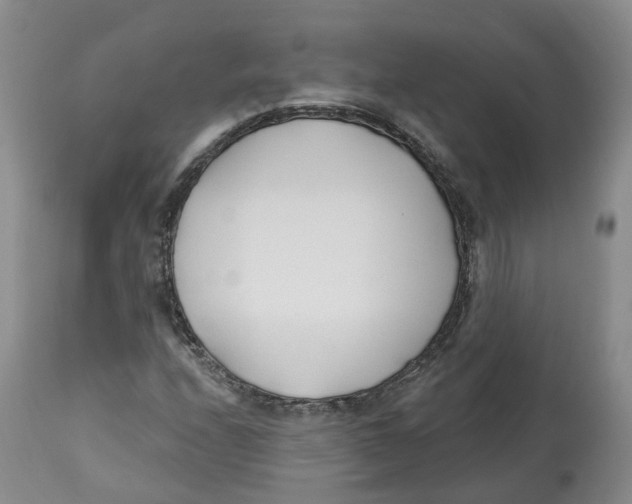 X0000112541208200909141304