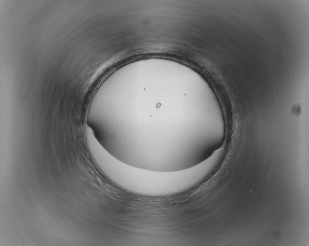 X0000112541210200909141304