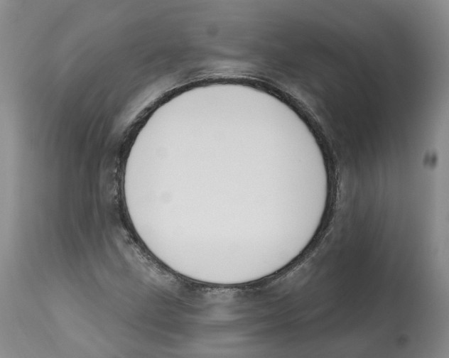 X0000112541211200909141304