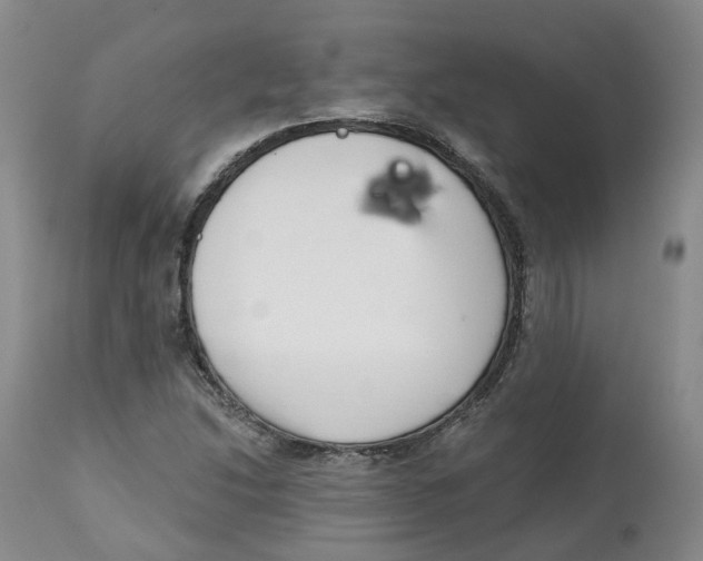 X0000112541214200909141304