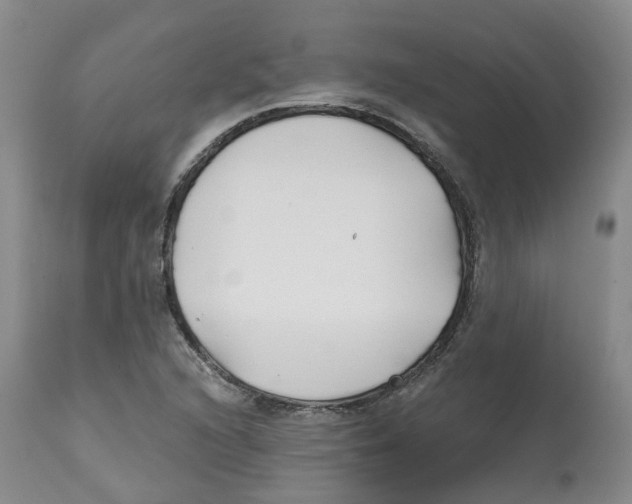 X0000112541216200909141304