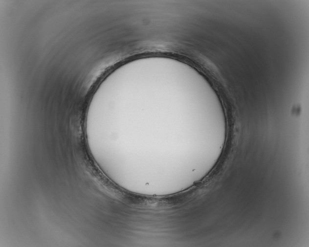 X0000112541218200909141304
