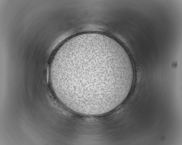 X0000112541219200909141304