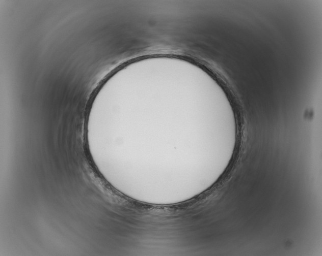 X0000112541220200909141304