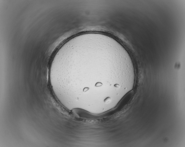 X0000112541221200909141304