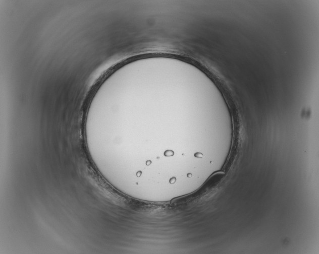 X0000112541222200909141304