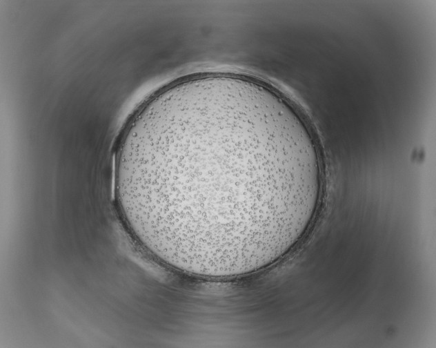 X0000112541223200909141304