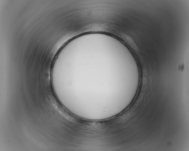 X0000112541226200909141304