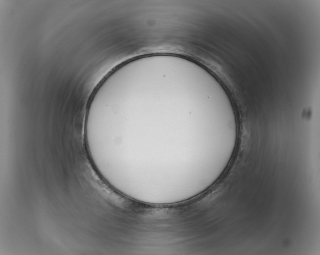 X0000112541228200909141304