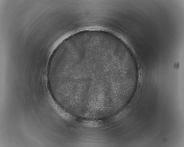 X0000112541229200909141304