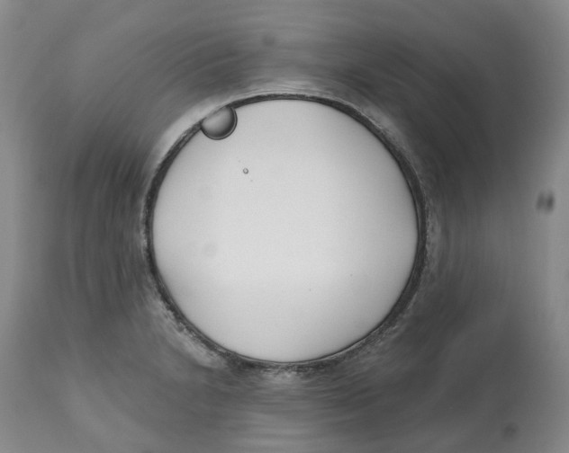 X0000112541230200909141304