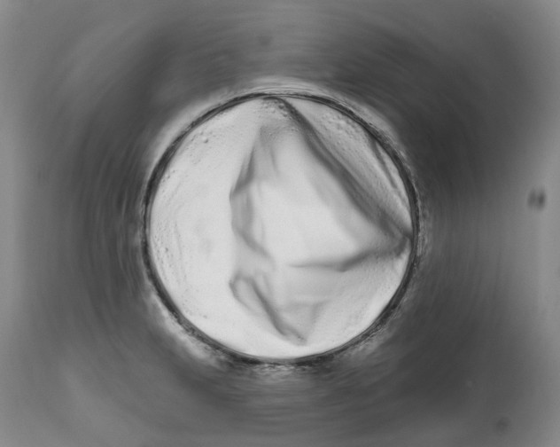 X0000112541231200909141304