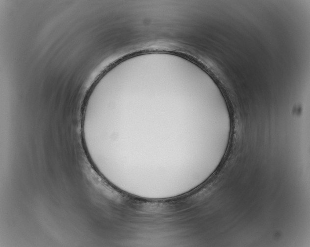 X0000112541232200909141304