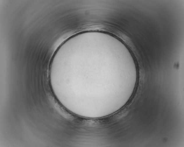 X0000112541234200909141304