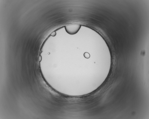 X0000112541236200909141304